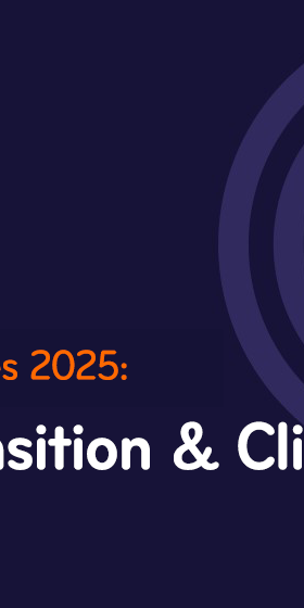Investment Themes 2025   Energy transition and climate action
